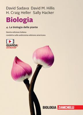 Biologia la biologia delle piante 4