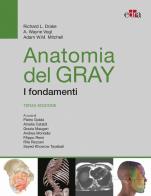 Anatomia del gray. i fondamenti